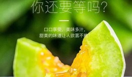 什么地方可以吃网红的瓜,这些地方让你一网打尽热门八卦